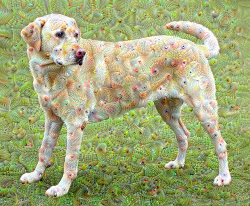 ../../_images/cnn-deepdream_14_0.png