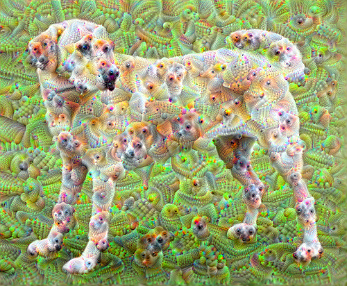 ../../_images/cnn-deepdream_15_0.png